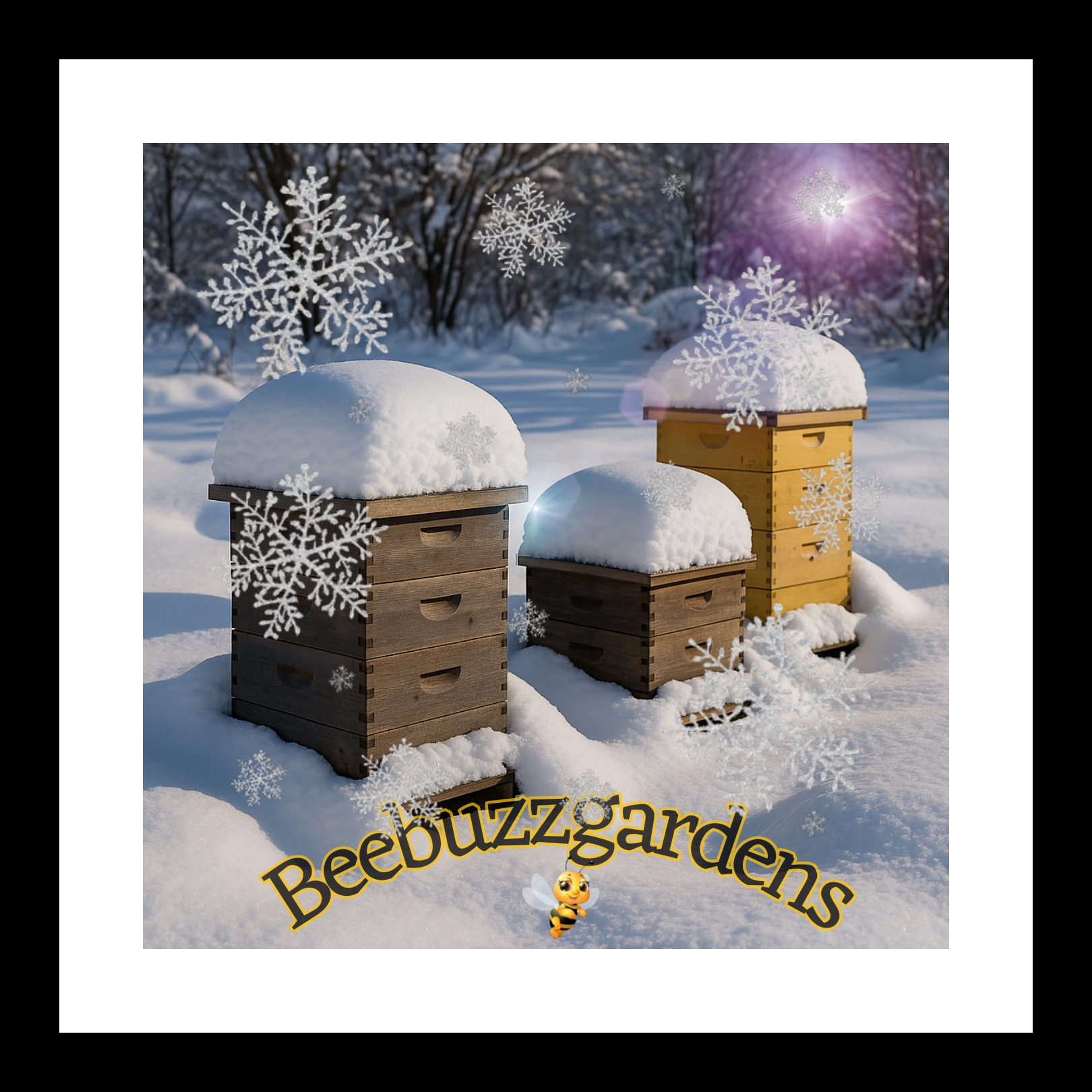 Winter Beekeeping